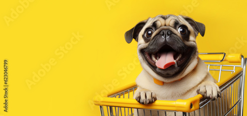 Cheerful pug dog in a supermarket trolley on a yellow background. Banner, copy space. AI generation