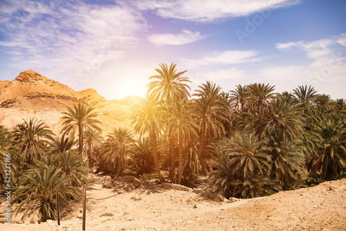 Amazing landscape of Chebika mountain oasis in Sahara desert with palm trees, summertime day. Scenic view oasis in North Africa, Atlas mountains, Tozeur, Tunisia. Geology concept. Copy ad text space