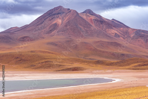 Altiplanic freezing lagoon and volcanic mountain in Atacama desert