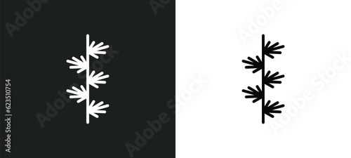 larch leaf icon isolated in white and black colors. larch leaf outline vector icon from nature collection for web, mobile apps and ui.