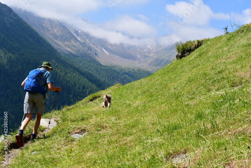 Mann und sein Lagotto Romagnolo Hund wandern im Schnalstal in Südtirol 