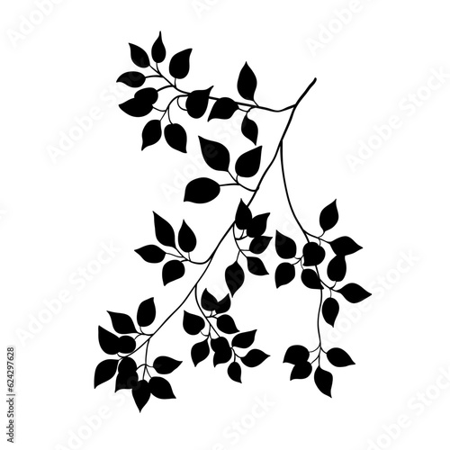 Branch of birch tree with leaves, black silhouette on white. Hand drawn sketch, minimal stencil design. Vector for floral print, eco product package, botanical, forest and garden illustration.