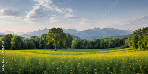 Panoramic beautiful summer nature with assortment colorful flowers and green meadows view