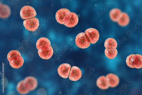 Streptococcus pneumoniae bacteria, 3D scientific illustration