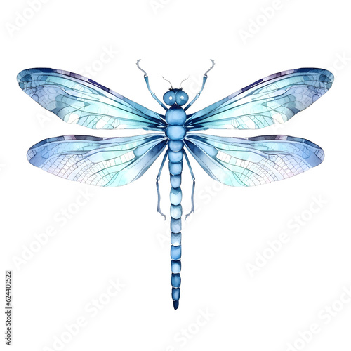blue dragonfly isolated on white