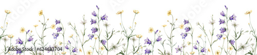 Close-up of blue spreading bellflower flowers frame. Campanula patula, bell, bluebell, rapunzel. Rabelera holostea, stellaria.Watercolor hand painting illustration. White and blue, violet flower