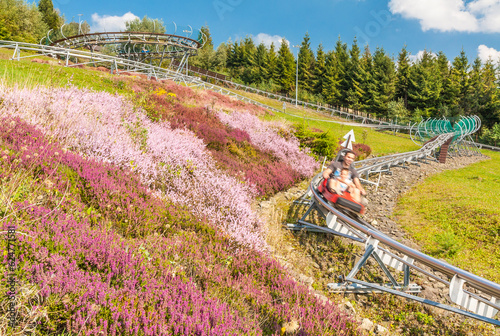 Summer toboggan run on the Równica mountain overlooking Ustroń in the Silesian Beskids (Poland).