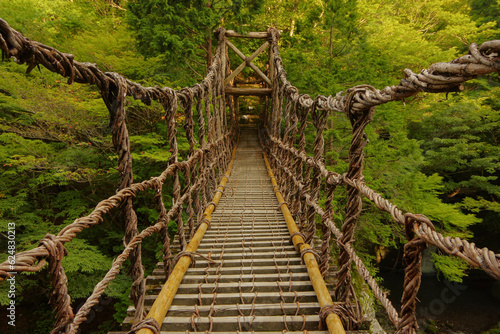 山奥の吊り橋
