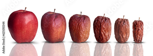 Aging Process as a new fresh ripe red apple decomposing and getting old and wrinkled.