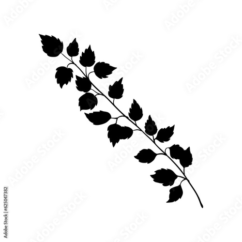 Branch of birch tree or nettle twig with leaves, black silhouette on white. Hand drawn sketch, minimal stencil design. Vector for floral print, eco product package, botanical illustration.