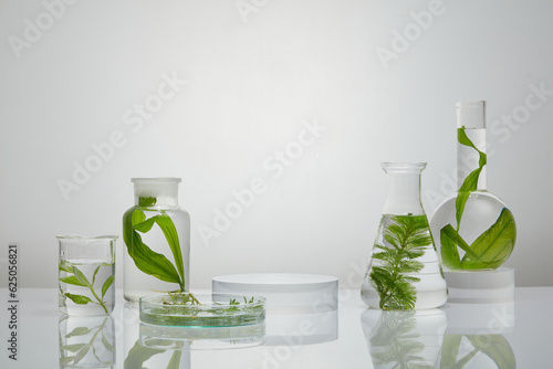 Laboratory glassware with fresh seaweed inside arranged on mirror table with a round podium. Seaweed helps smoothing out fine lines with its anti-aging properties