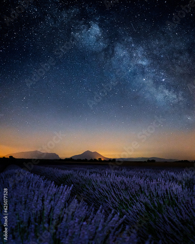 Nightsky over lavender fields