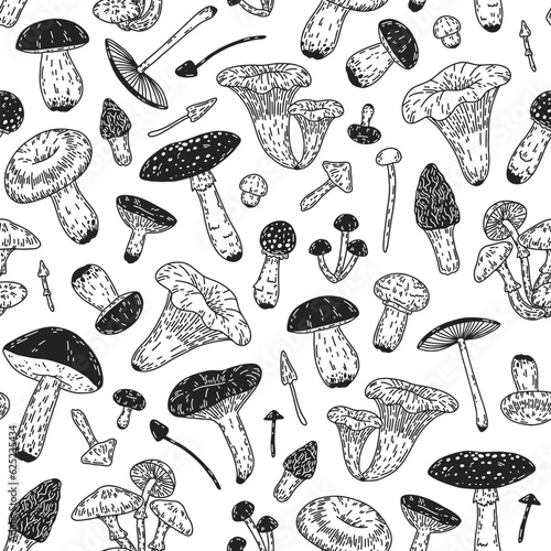 Pattern with mushrooms. Hand-drawn seamless vector with different forest mushrooms. 