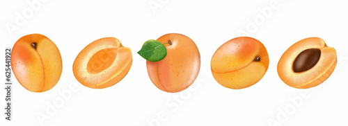 Ripe apricot on a white background. Freehand drawing. Whole apricot with green leaf, half apricot, half apricot with pit. Element for decor, designs, pattern making and creatives