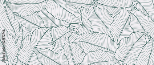 Botanical monstera leaf line art wallpaper background vector. Luxury natural hand drawn foliage pattern design in minimalist linear contour simple style. Design for fabric, cover, banner, invitation.