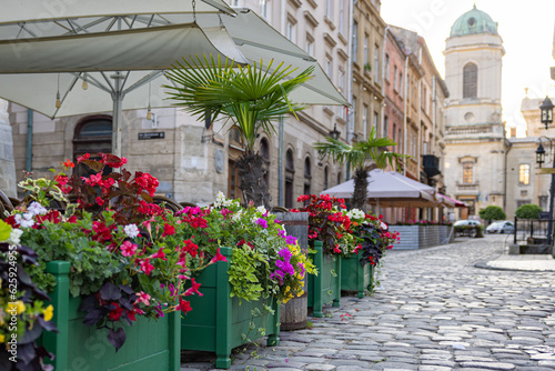 Flowerdeds in Lviv city center