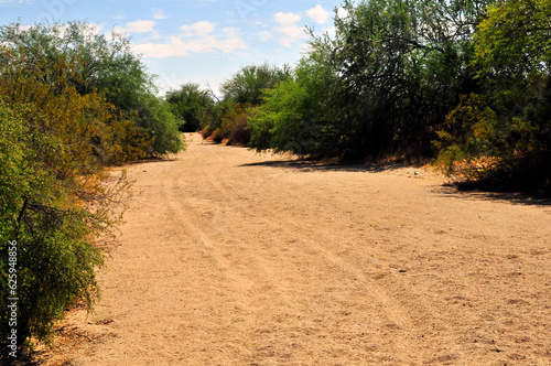 Arizona Desert Arroyo