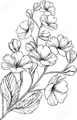 Topical flower prime coloring pages. pansy flower line art, pansy flower tattoo designs, Realistic flower coloring pages, primrose flower vector sketch traditional primrose tattoo and primula tattoos.