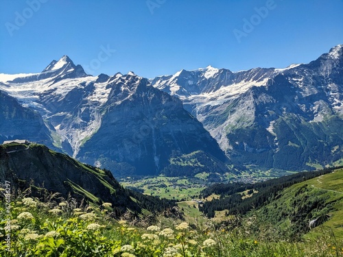 Mountain scenery above grindelwald. High quality photo