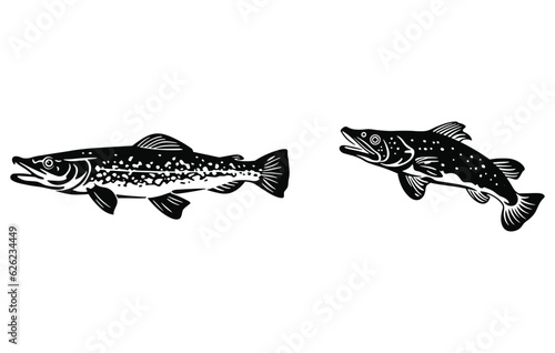 River Pike Fish illustration ,Pike Fishing Logo, Unique and Fresh Pike fish jumping out of the water, 
