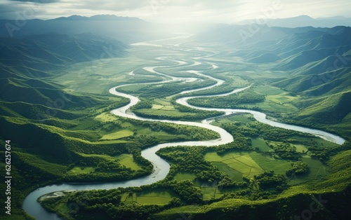 Beautiful aerial view of a river with multiple paths and meanders surrounded by green trees and vegetation.