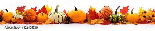 Autumn leaves and gourds, pumpkins patch on white background banner