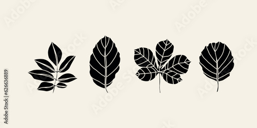 Line art leaves set. Elder, beech, chestnut, alder 