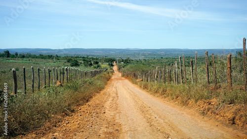 Countryside dirt road with wooden barbed wire fences on the sidelines - Caatinga (brazilian semiarid biome) - Nova Redenção, Bahia, Brazil