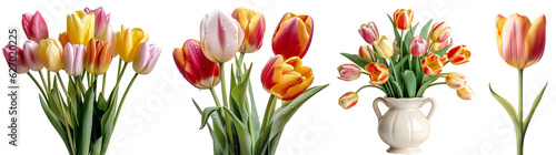 Set of colorful tulips/flowers. Bouquet of colorful tulips in a white vase. Colorful tulip close up. Isolated on a transparent background. KI.