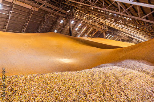 View inside a large corn and grain storage warehouse.