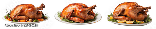 Thanksgiving turkey isolated on transparent white background
