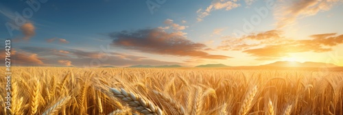 Rich Golden Wheat Fields Swaying Gently In The Wind. Golden Harvest, Fertile Soil, Serenity Of Nature, Rustic Aroma, Bountiful Crops, Sunrise Over Fields, Joy Of Farmers