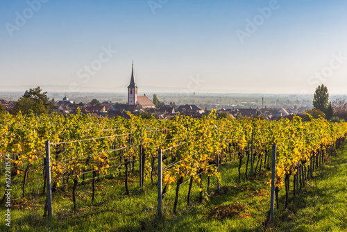 View from vineyards to Maikammer with the catholic church in autumn, German Wine Route, Rhineland-Palatinate, Germany
