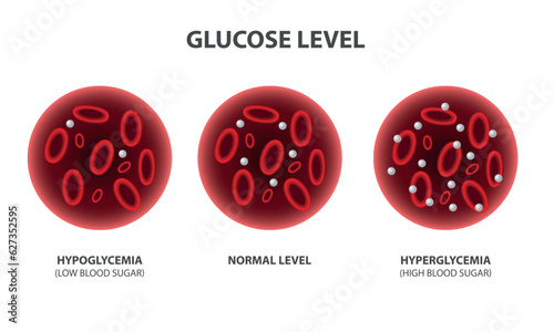 Blood glucose level, vector illustration