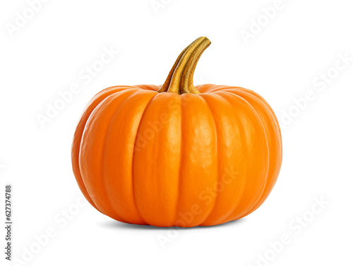 Pumpkin isolated on transparent or white background, png