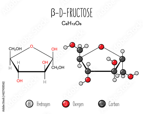 Beta fructose skeletal and flat representation. Skeletal formula and 2d structure illustration. Web style illustration. Vector editable
