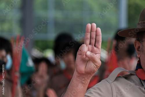 Scouts Honor hand gesture