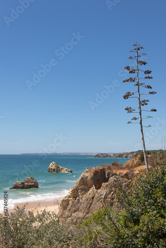 Elevated views of the Praia da Rocha in Algarve on a sunny day, Portugal
