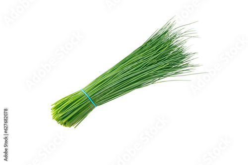 Green chives leaves vegetable bunch tied with blue rubber band isolated transparent png. Allium schoenoprasum.