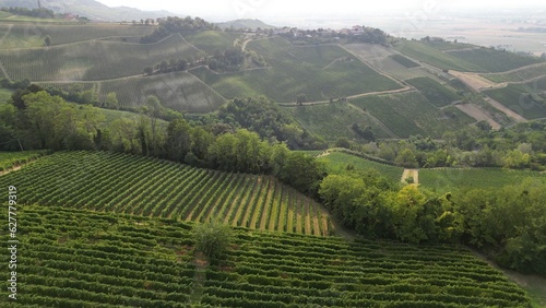 Europe, Italy, Oltrepo' Pavese Montalto - drone aerial view of amazing landscape countryside nature with vineyard production of vine area near Broni between Lombardy e Tuscany region 