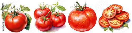 Set of drawn tomatoes. Watercolor tomatoes on a branch. Drawn tomato close-up. Chopped tomato. Isolated on a transparent background. KI.