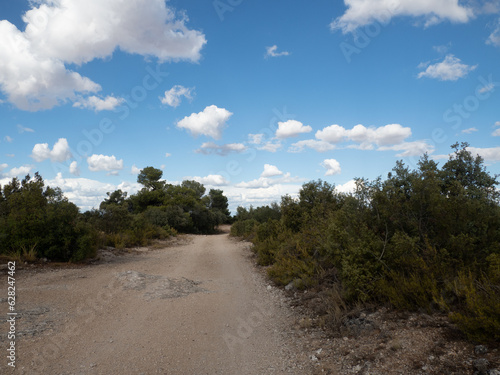 Vistas en la ruta de senderismo de la Hoz de Alarcón, Hoz de Alarcón, Alarcón, Cuenca, Castilla la Mancha, España