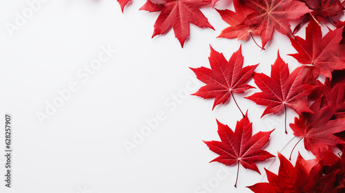 Happy 1st of July Canada Day celebrating. Top view flat lay of national maple leaves, red, white stars on white background with empty space for text Generative AI