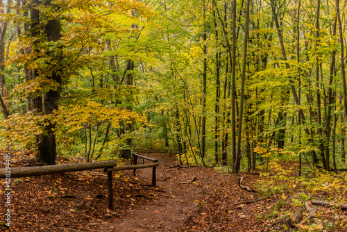 Hiking trail in Cesky kras nature protected area near Svaty Jan pod Skalou village, Czech Republic