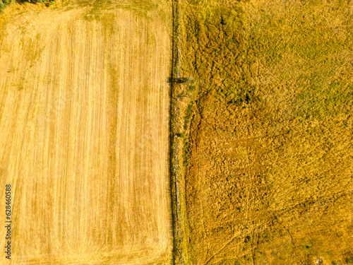 Fields and fields in the summer. Drone photo