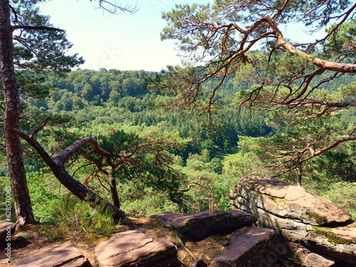 Blick am Rande der Felsformation Deichenwand bei Wilgartswiesen im Pfälzerwald, Verbandsgemeinde Hauenstein im Landkreis Südwestpfalz. Aussicht vom Premiumwanderweg Wilgartswieser Biosphärenpfad. 