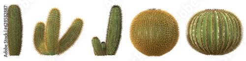 Set of Golden barrel cactus and Ferocactus pilosus cactus with isolated on transparent background. PNG file, 3D rendering illustration, Clip art and cut out
