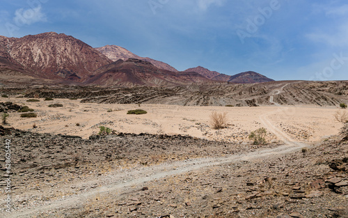 desert road in the Namib