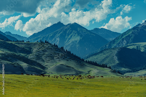 Picturesque mountain landscape with herd grazing on a green meadow
