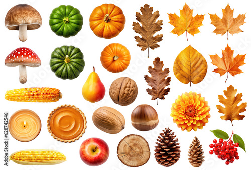 Collection of various autumn objects - leaves, mushrooms, nuts, fruits etc, isolated on transparent background